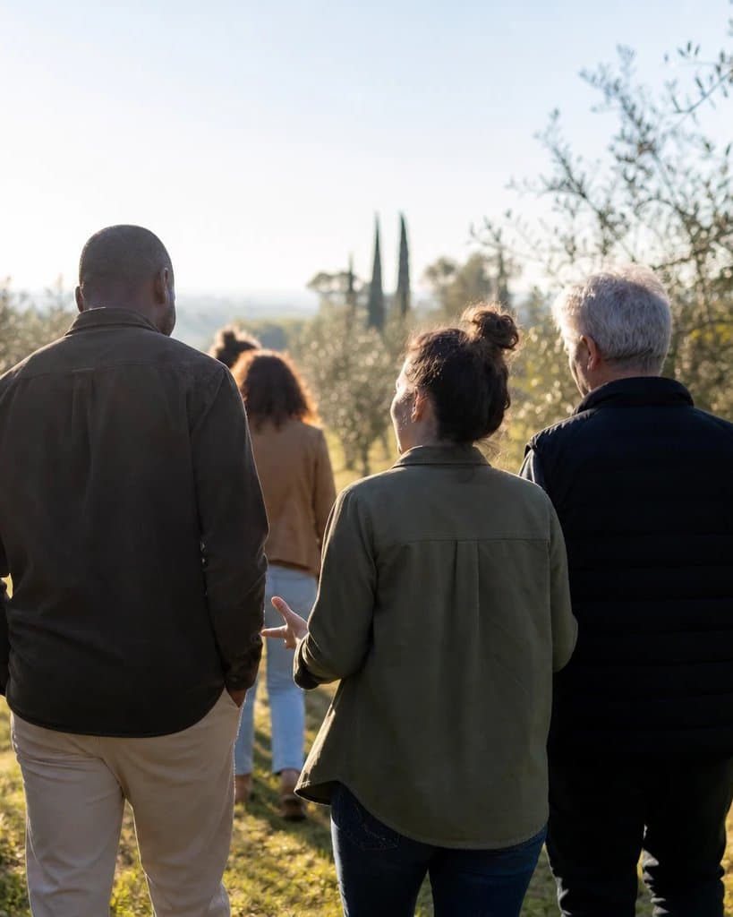 A small group walking together through a sunlit olive grove